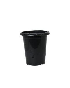 Vaso de Cymbidium - Preto