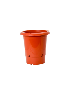 Vaso de Cymbidium - Cerâmica