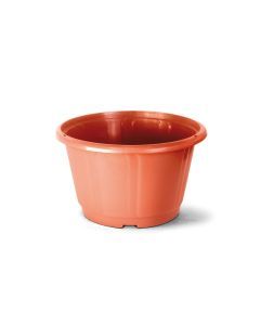 CUIA NOBRE 02 PRODUTOR CERAMICA