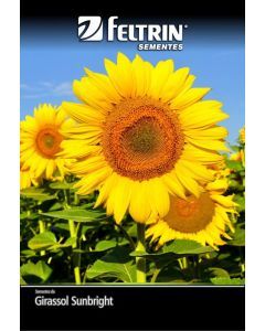 SEMENTE GIRASSOL SUNBRIGHT - FLOR