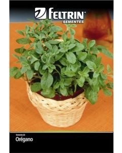 SEMENTE OREGANO OREGANO - TEMP