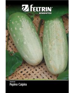 SEMENTE PEPINO ESMERALDA TIPO CAI - ECON