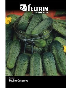 SEMENTE PEPINO WISCONSIN Smr58/C - ECON