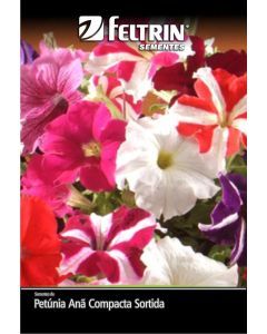 SEMENTE PETUNIA ANA COMPACTA SOR - FLOR