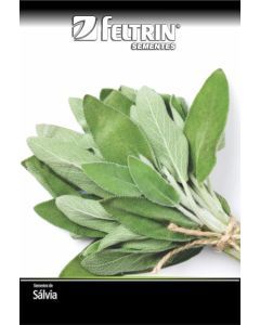 SEMENTE SALVIA PARA TEMPERO - TEMP