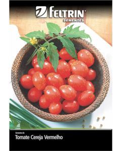 SEMENTE TOMATE CAROLINA - ECON