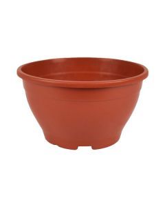 CUIA 13 COLOR - PLANTE LIFE